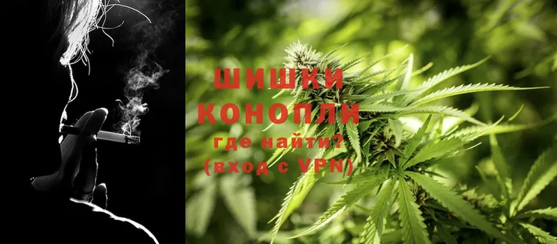 Каннабис OG Kush  Покров 